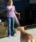 Spray Shield Animal Deterrent Spray