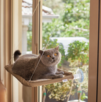 The Kazoo Lookout Deluxe Window Cat Bed