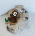 Kazoo Jungle Sloth with catnip and silvervine Cat Toy