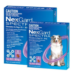 Nexgard Spectra  6 Pack